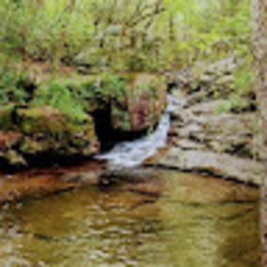 Meet your Posher, Justin